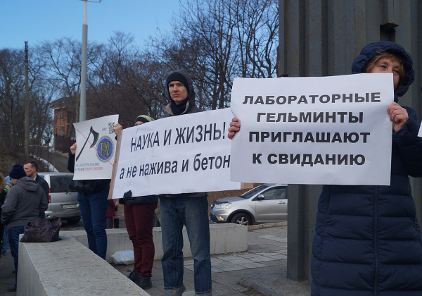 «Спасите лес Академгородка»: сотрудники ДВО РАН протестуют против масштабной стройки